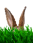 Osterhasen und mehr - auf Kauflux.de