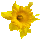 Ostern mit und ohne Eier bei Kauflux!